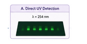 HPTLC plate under direct UV detection at 254 nm